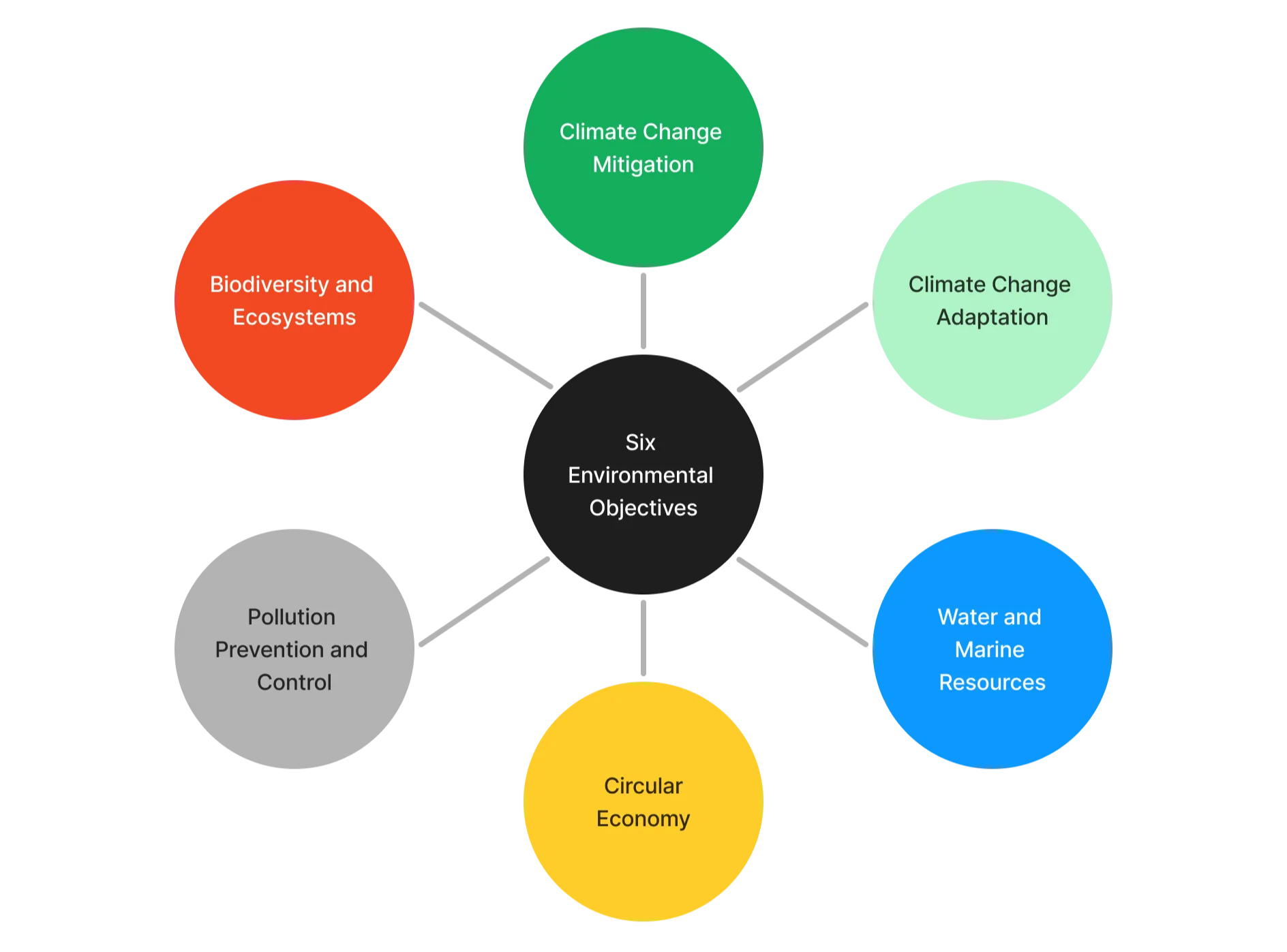 Infographic displaying the six environmental objectives of the EU Taxonomy.